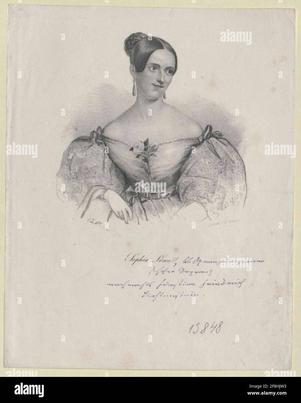 Löwe, Sophie. Stockfoto