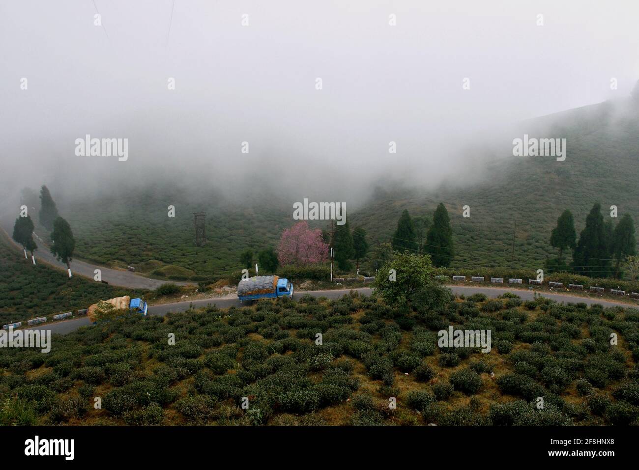 Ein Blick auf Mirik, während die Wolke die Hügel berührt Stockfoto