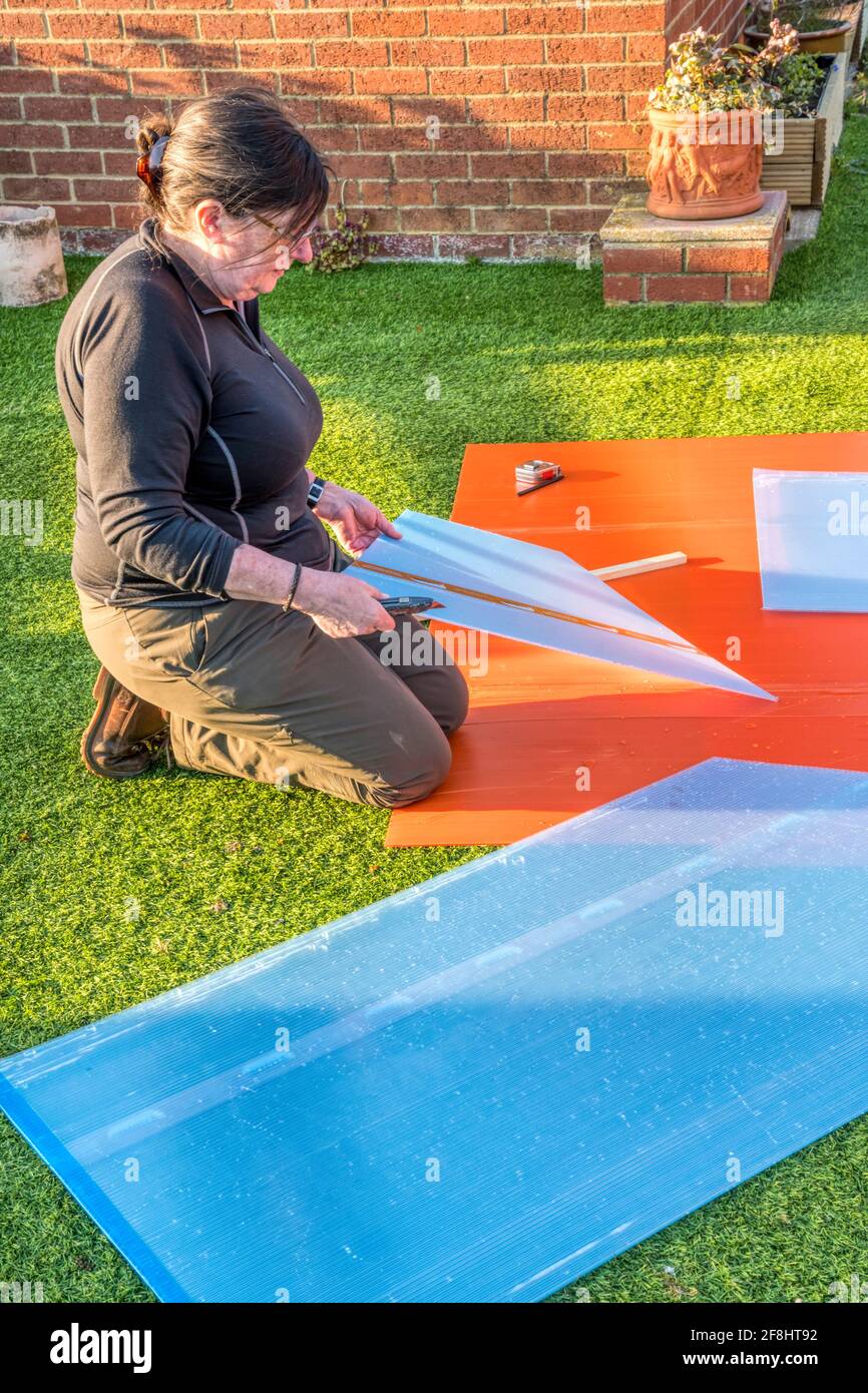 Frau schneidet Polycarbonat-Platten, um gebrochenes Glas im Gewächshaus zu ersetzen. Stockfoto