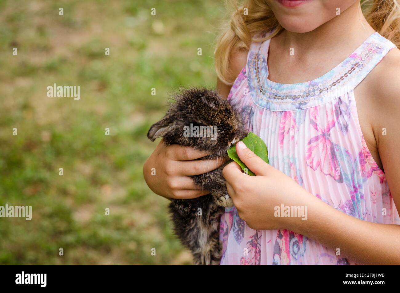 Kleines blondes Mädchen mit einem Hasen Kaninchen Haustier Stockfoto