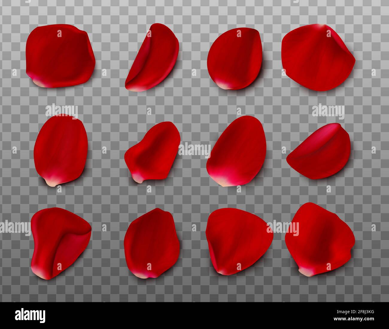 Große Sammlung von Vektor realistische Rosenblätter auf transparentem Hintergrund. Stock Vektor