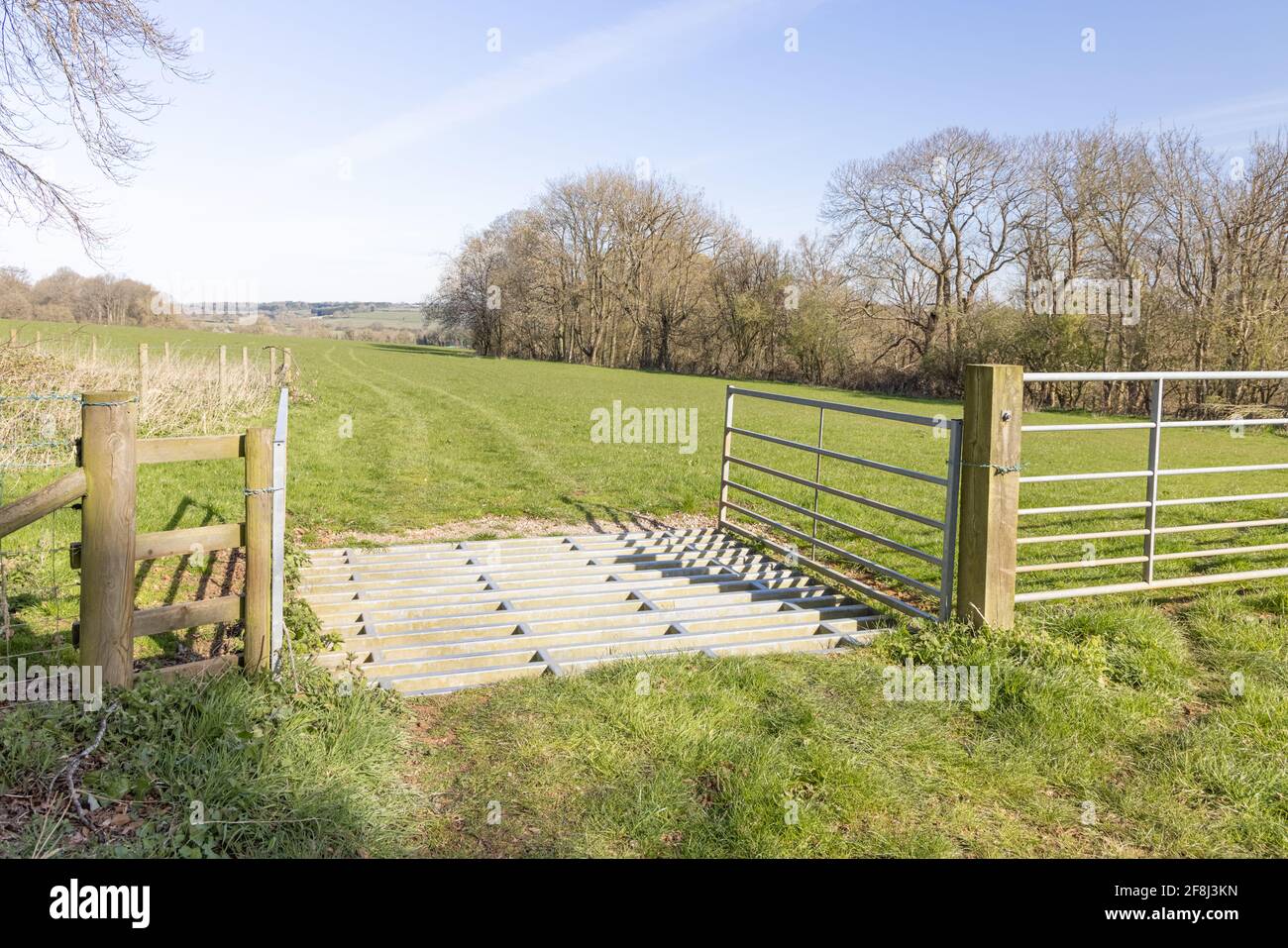 Badby, Northamptonshire, Großbritannien - 13. April 2021: Ein Rinderraster aus Metall am Eingang zu einem Weidefeld mit Spuren im Gras. Stockfoto