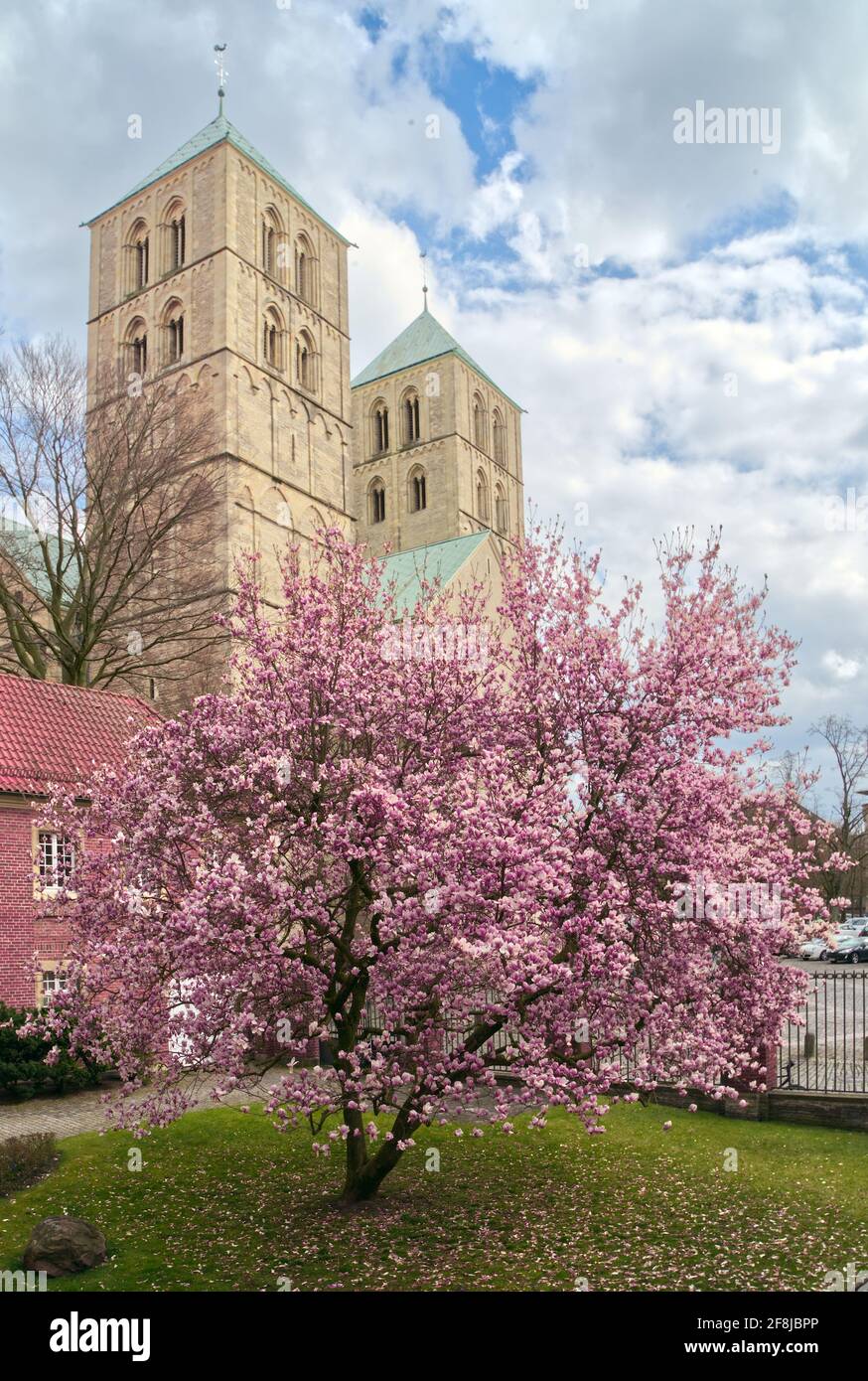 Blick auf den mittelalterlichen Münster oder den St.-Paulus-Dom in Münster Stockfoto