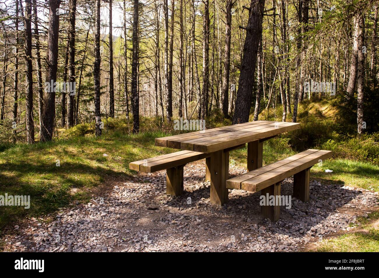 Ein Picknicktisch im strahlenden Licht der umliegenden Pinienwälder in Glen Affric, Schottland Stockfoto