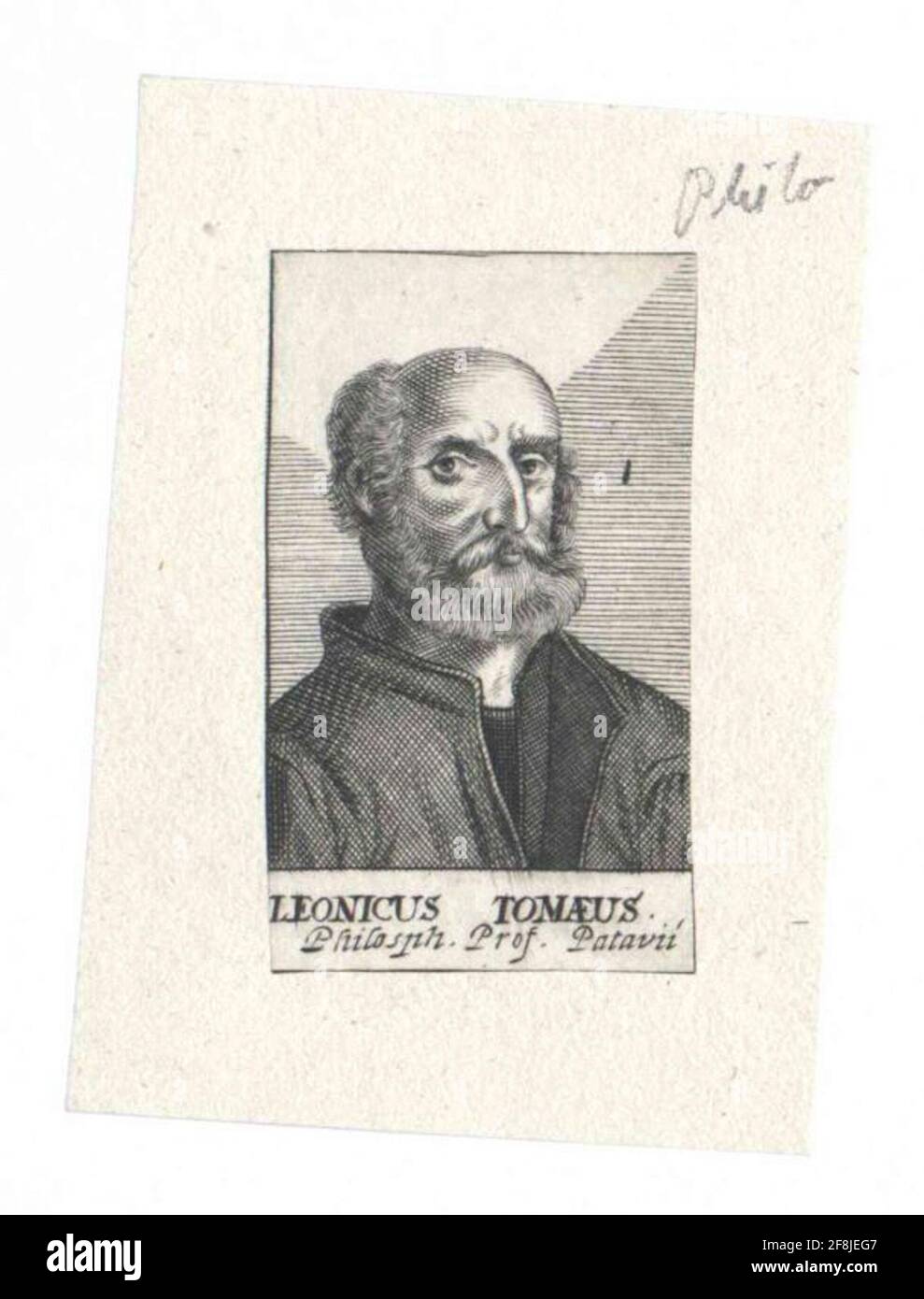 Tomeo, Leonic Niccolo. Stockfoto