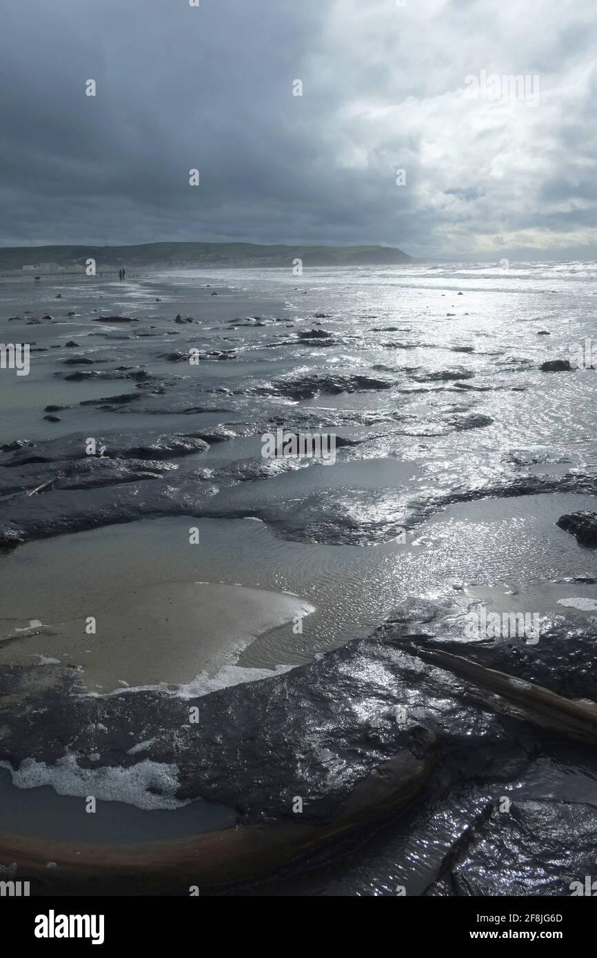 Versteinerten alten Wald, Borth Beach, Mid Wales bei Ebbe. Stockfoto