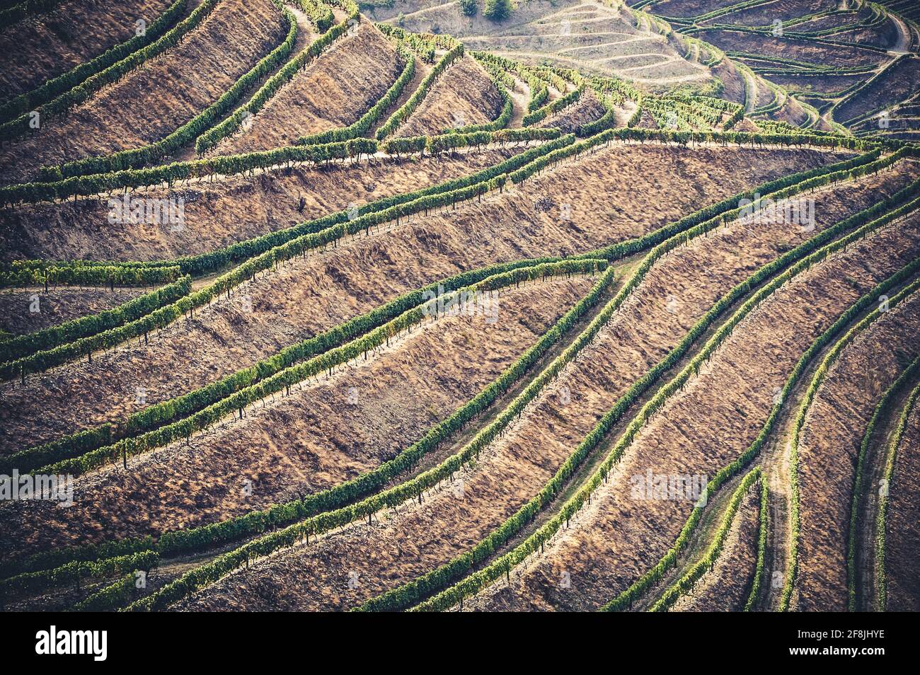 Terrassierte Weinberge und Landschaft des Douro-Tals, Portugal Stockfoto