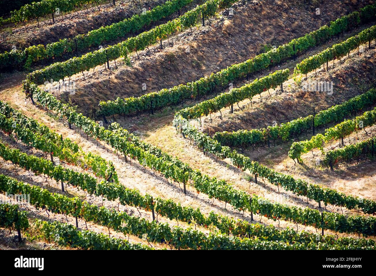 Terrassierte Weinberge und Landschaft des Douro-Tals, Portugal Stockfoto