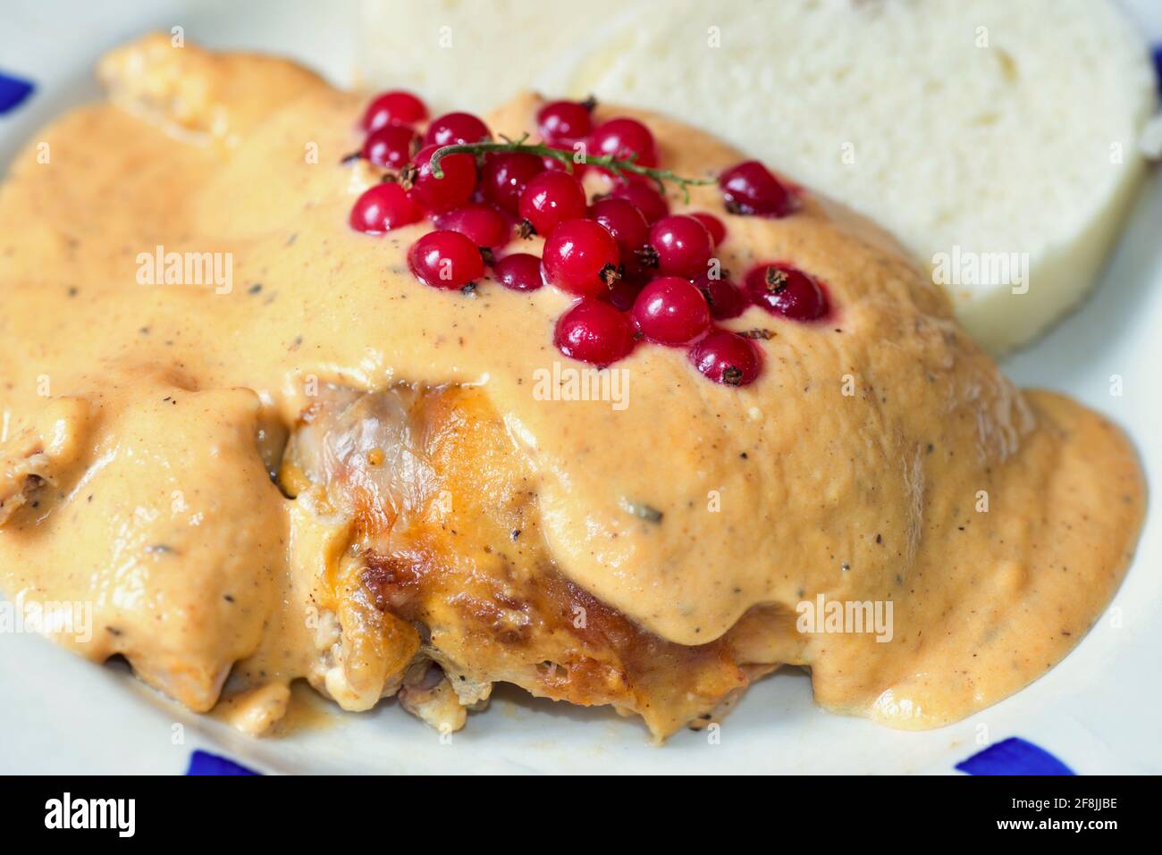 Gebratenes Kaninchen mit Gemüsecremesauce, verziert mit roten Johannisbeeren, Knödel auf weißem Teller. Stockfoto