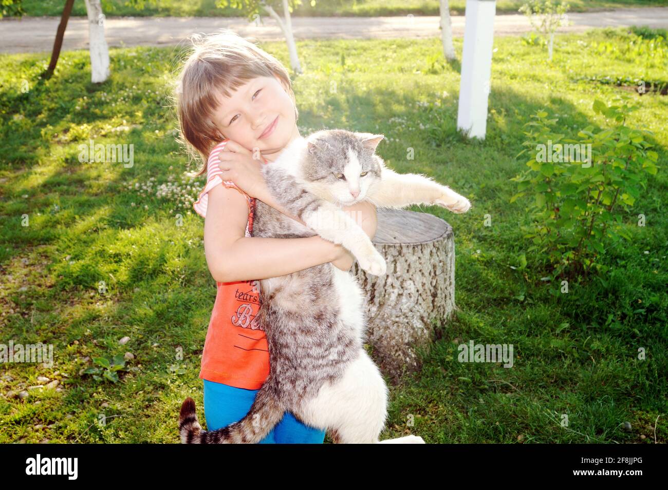 Das Mädchen lächelt umarmte eine große Dorfkatze auf einem Sonniger Tag Stockfoto
