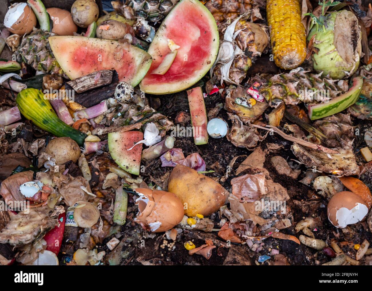 Organische Abfälle im Garten auf dem Kompost Stockfoto