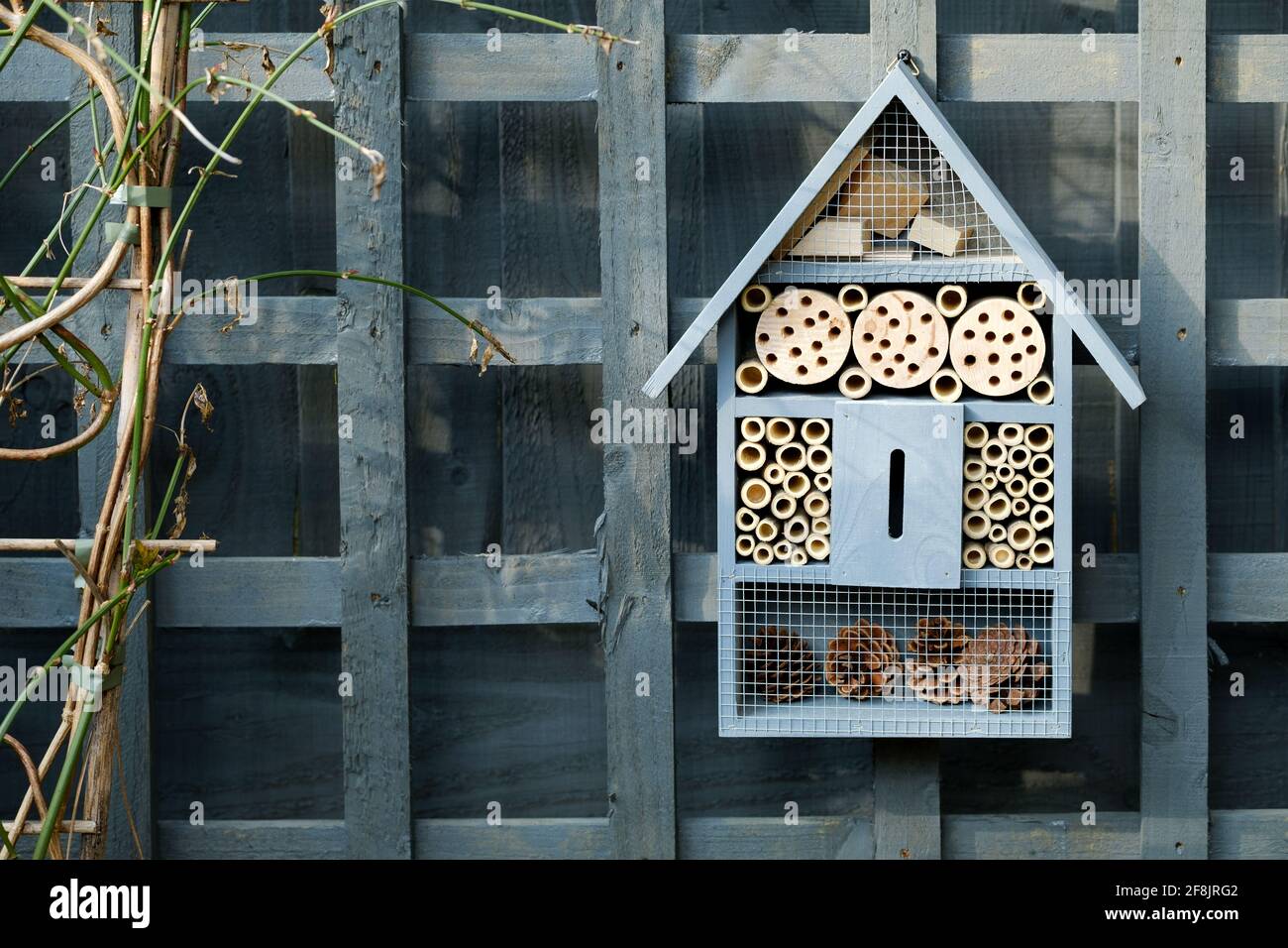 Ein Insektenhotel, ein Insektenhaus oder ein Insektenhotel, das in einem Hausgarten hängt. Die vom Menschen geschabekommen Struktur bietet Schutz für Insekten, einschließlich einsamer Bienen Stockfoto