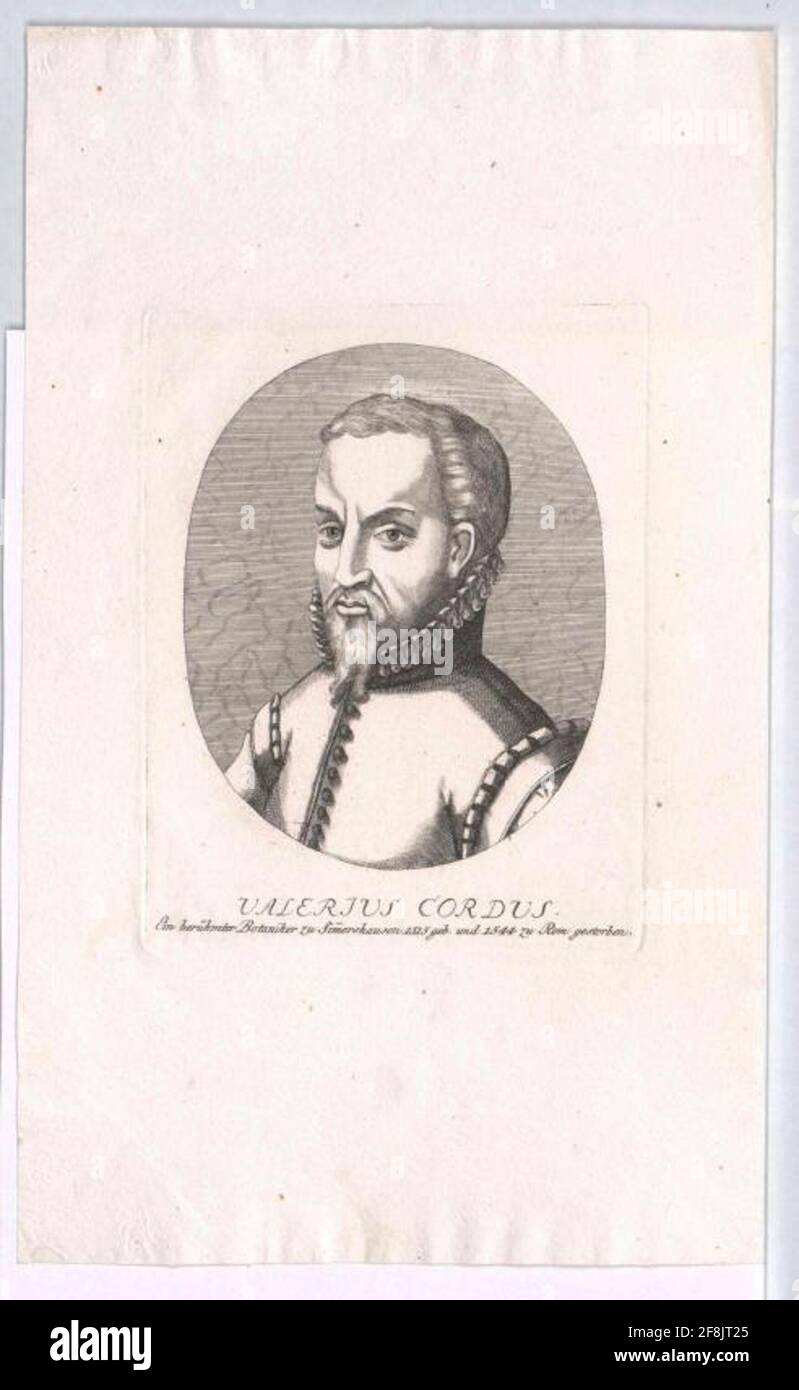 Valerius cordus Fotos und Bildmaterial in hoher Auflösung Alamy
