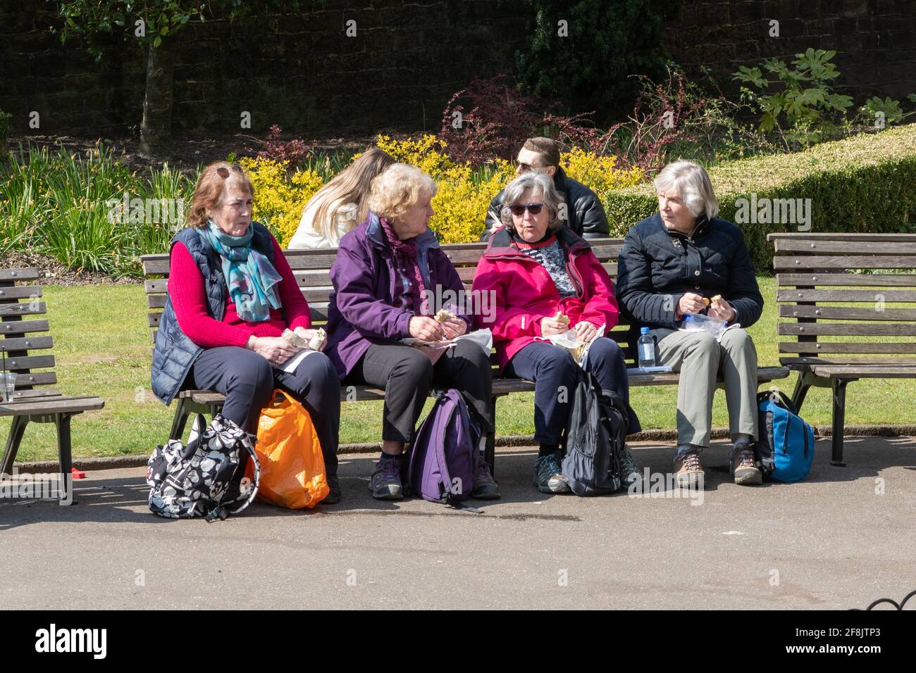 Menschen, die die teilweise Lockerung der Covid-19-Sperrbeschränkungen genießen, bei einem Picknick mit Freunden im Park, Guildford, Surrey, Großbritannien, April 2021 Stockfoto