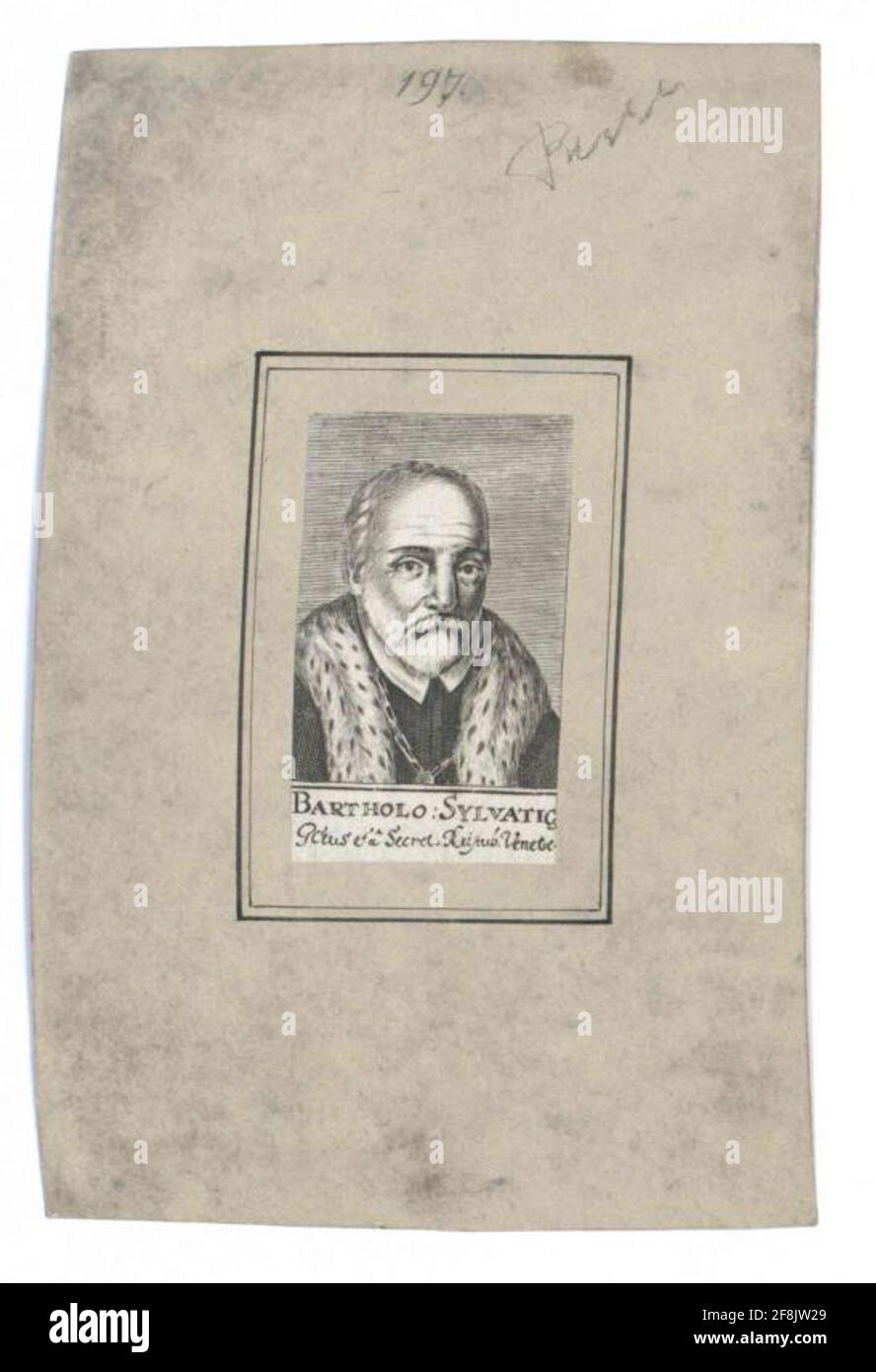 Silvatico, Bartolomeo . Stockfoto