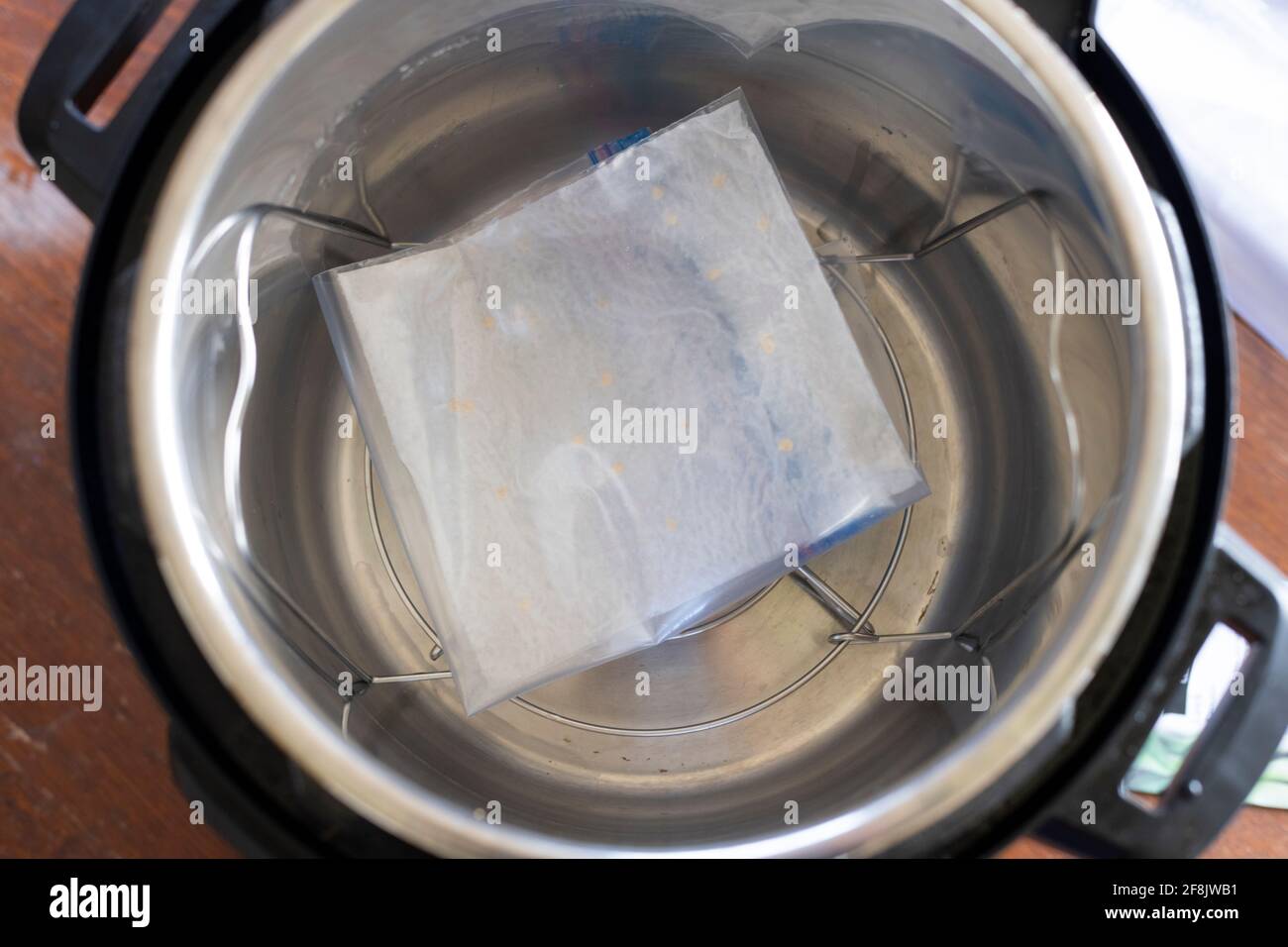 Starting Seeds in an Instant Pot, April 2021 Stockfoto