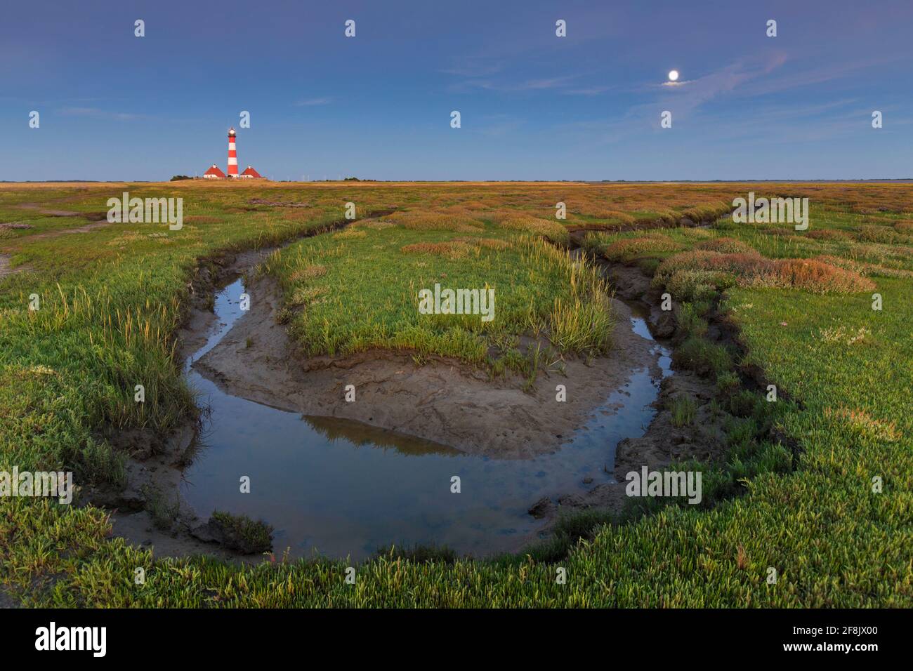 Saltmarsh und Leuchtturm Westerheversand bei Westerhever, Halbinsel Eiderstedt, Nationalpark Wattenmeer, Nordfriesland, Deutschland Stockfoto