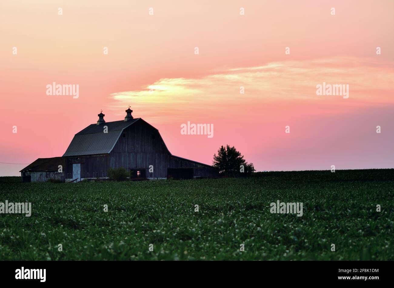 Sycamore, Illinois, USA. Ein spätzlicher Frühlingstag geht hinter einer alten, ehrwürdigen Scheune unter den Ernten auf einer Farm im Nordosten von Illinois zu Ende. Stockfoto