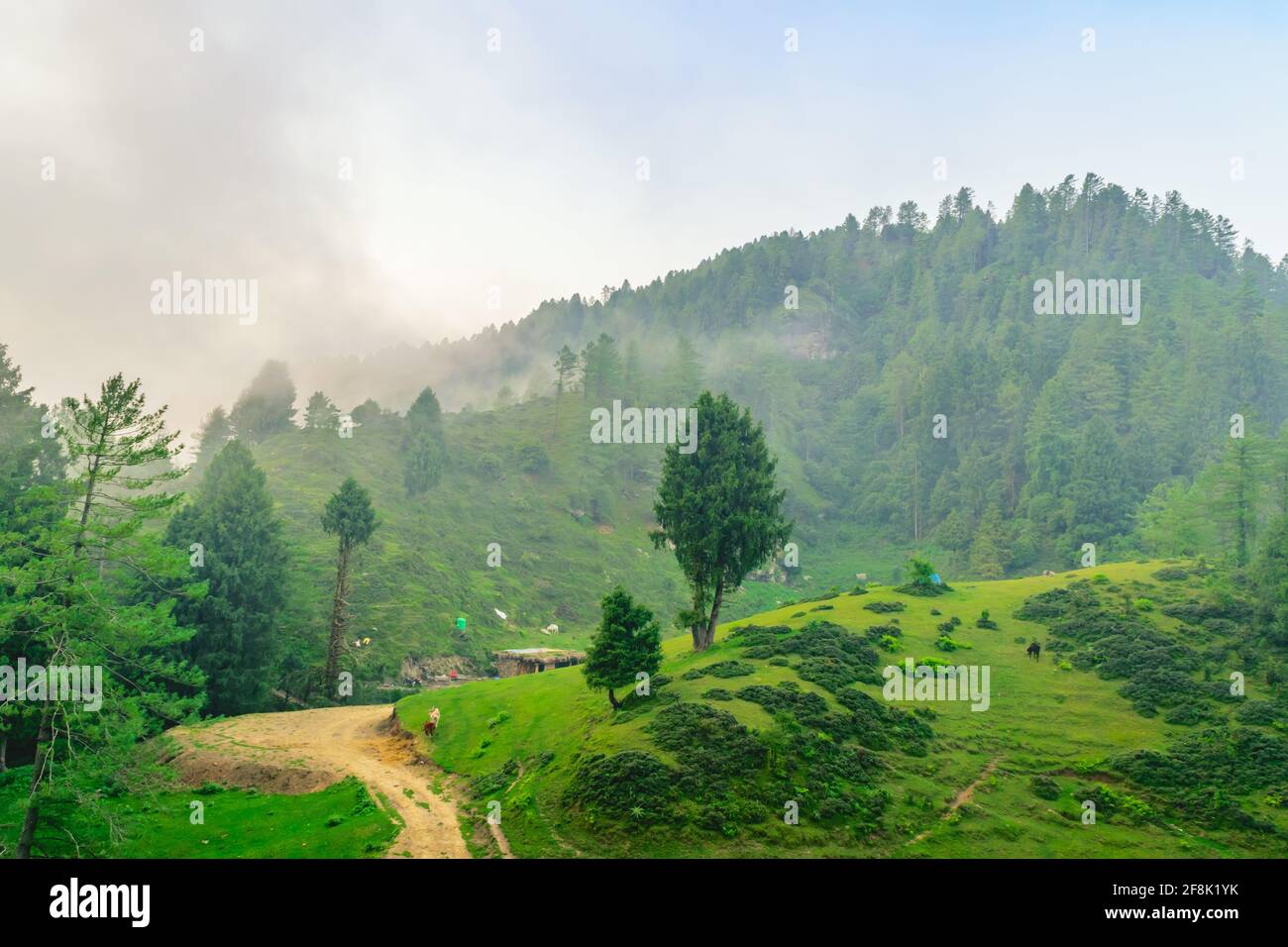 Silhouette des bewaldeten himalaya-Berghangs mit immergrünen Nadelbäumen Umgeben von nebliger sceinischer Landschaft Blick vom prashar Seeufer Zelte bei ihm Stockfoto