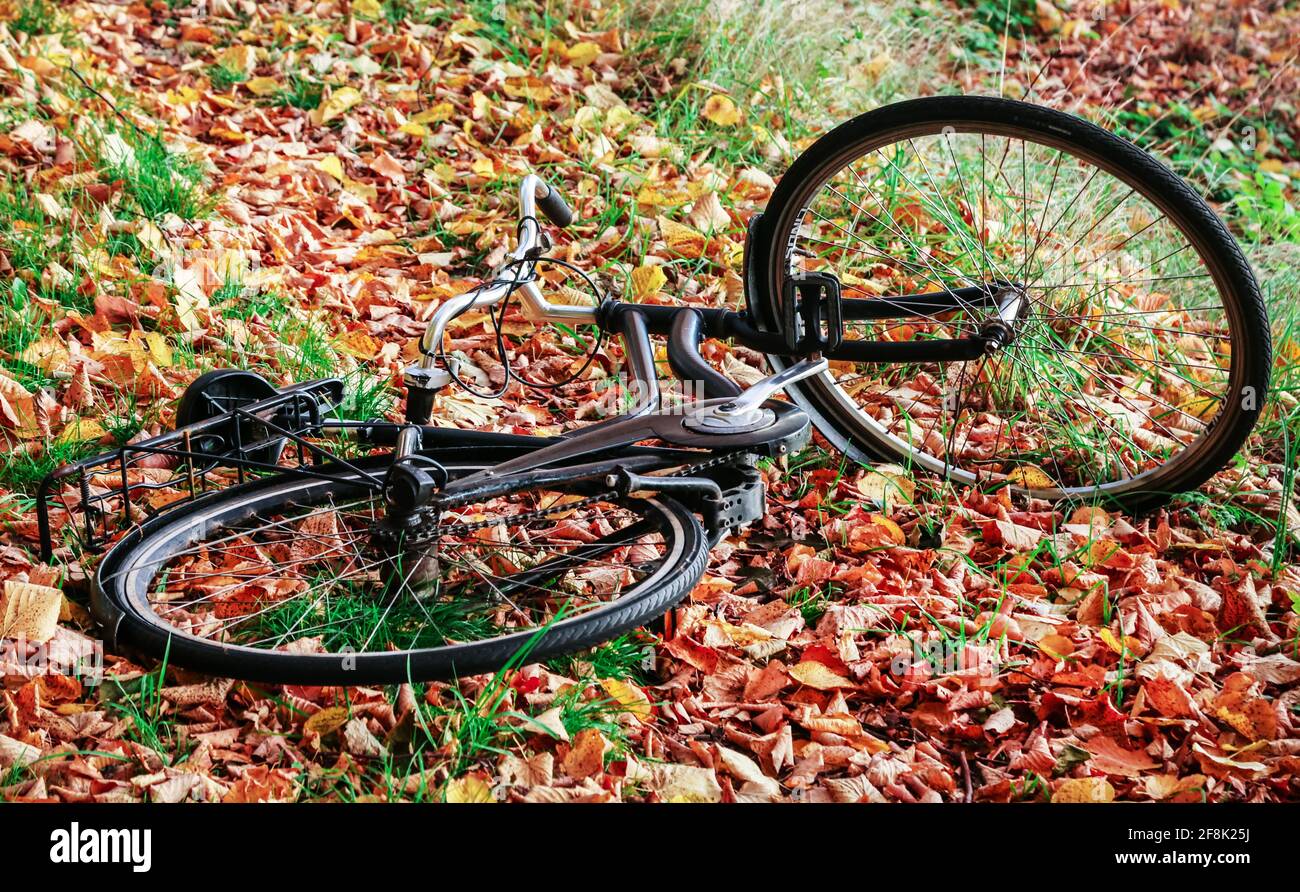 Fahrrad im Herbst Blätter im Wald Stockfoto