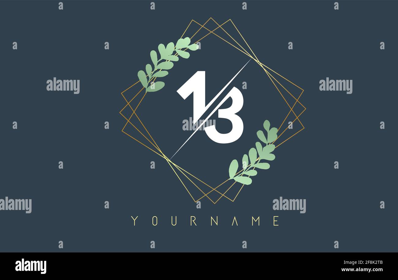 Nummer 13 1 3 Logo mit goldenen Viereckrahmen und grünem Blattdesign. Kreative Vektor-Illustration mit Zahlen 1 und 3 für Schönheit, Mode, Schmuck, lu Stock Vektor