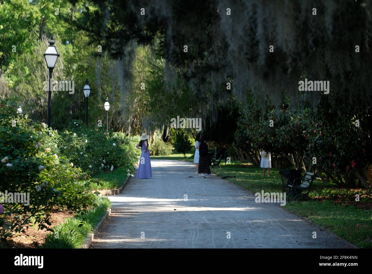 Veranstaltungen in öffentlichen Parks, zum Beispiel Hochzeiten, Sport, modifizierte, Golf, Karren, Reisen, Straße, sauberer Stockfoto