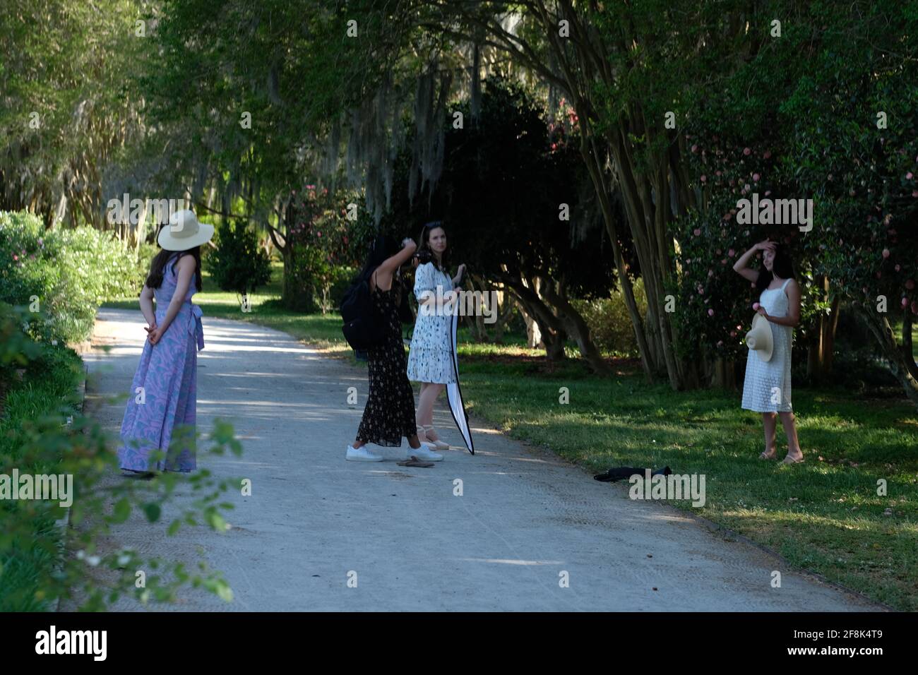 Veranstaltungen in öffentlichen Parks, zum Beispiel Hochzeiten, Sport, modifizierte, Golf, Karren, Reisen, Straße, sauberer Stockfoto