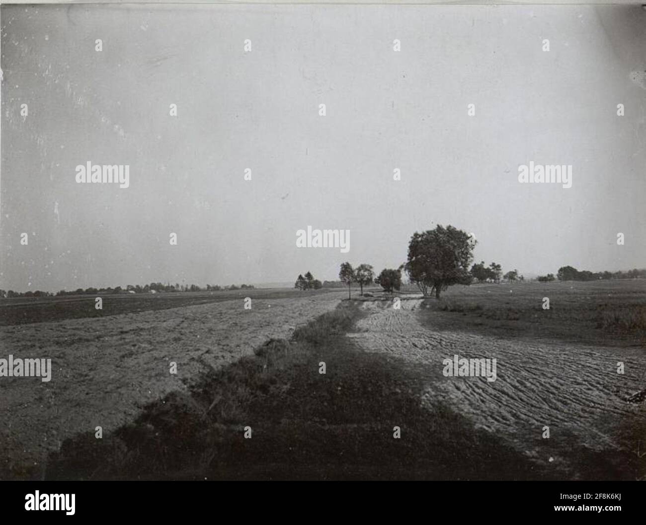 War Album 89, Bild 25995. Stockfoto