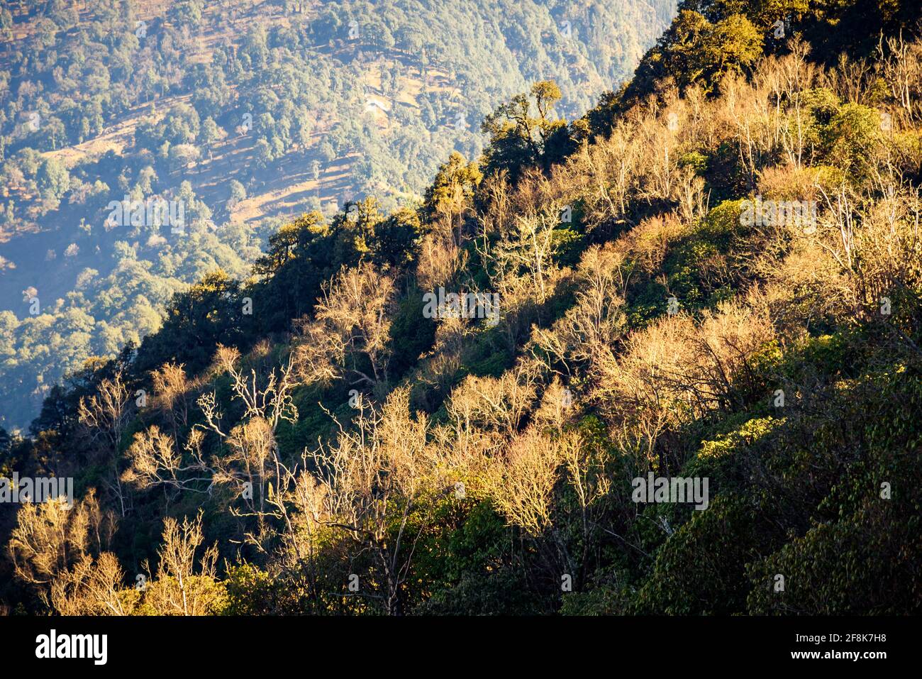 Dies ist der Blick auf die alpine Landschaft des Himalaya vom Khalia Top Trek Trail in Munsiyari. Der Gipfel von Khalia liegt auf einer Höhe von 3500 m im himalaya in Kuma Stockfoto