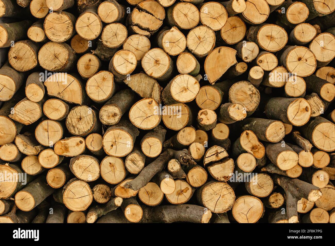 Details mit Holzstruktur. Stapel Brennholz. Stapel von Holzstämmen für den Winter gelagert. Mauer aus Holz. Natürlicher Hintergrund aus Holz. Lagerung von trockenem, gehacktem Brennholz Stockfoto