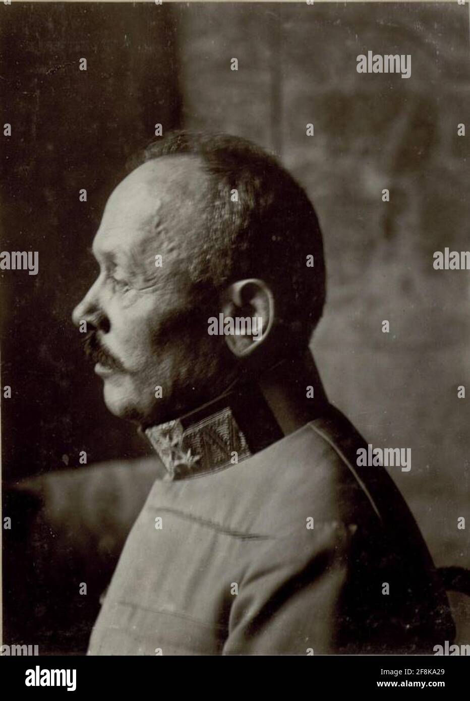 Feldmarschall Svetozar Boroevic von Bojna, General der Infanterie, Kommandeur der 5. Armee, Profilaufnahme des Gesichtsausstosses im Frühjahr 1916 in Postojna (Adelsberg) Slowenien Stockfoto