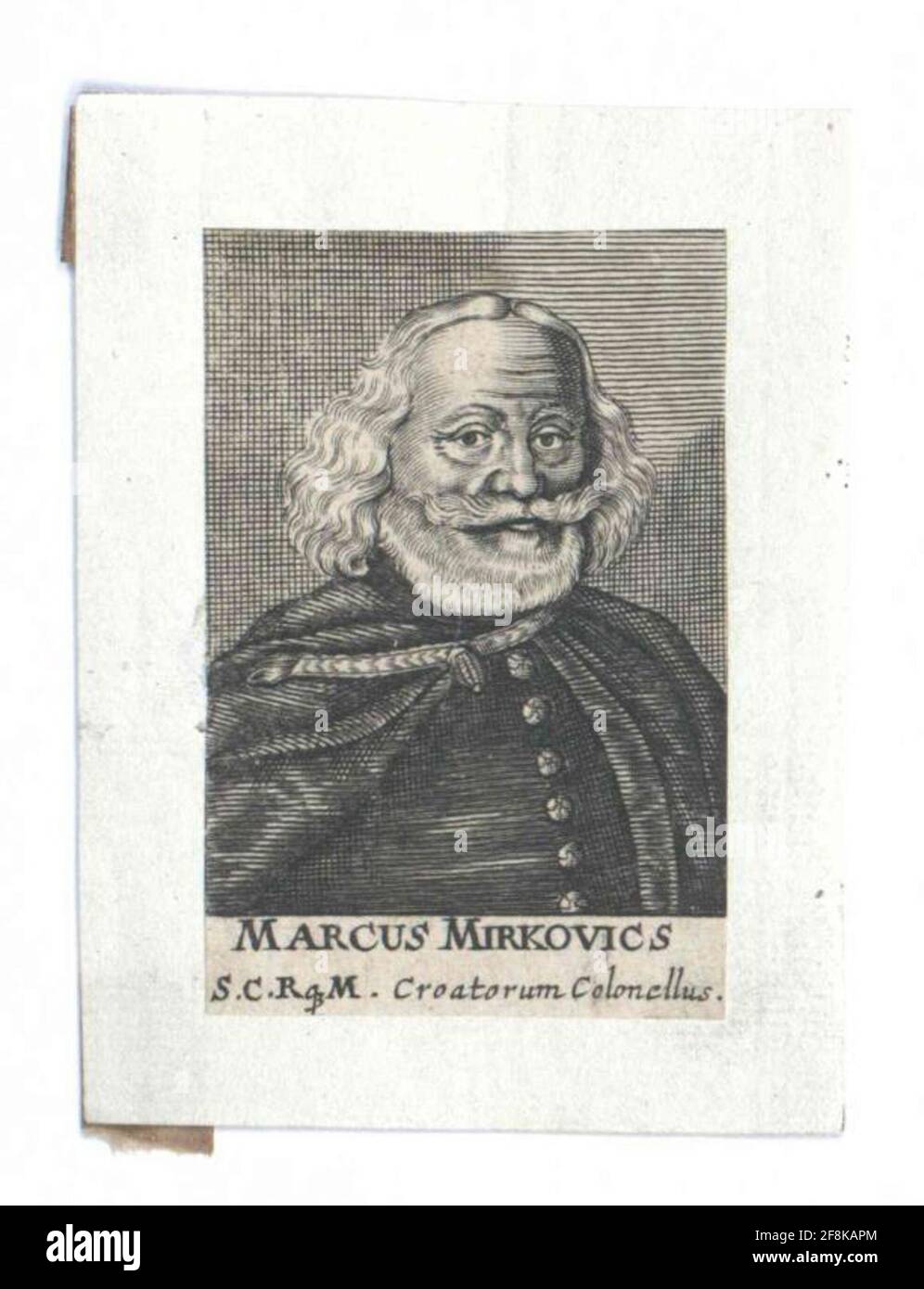 Mirkovics, Markus. Stockfoto