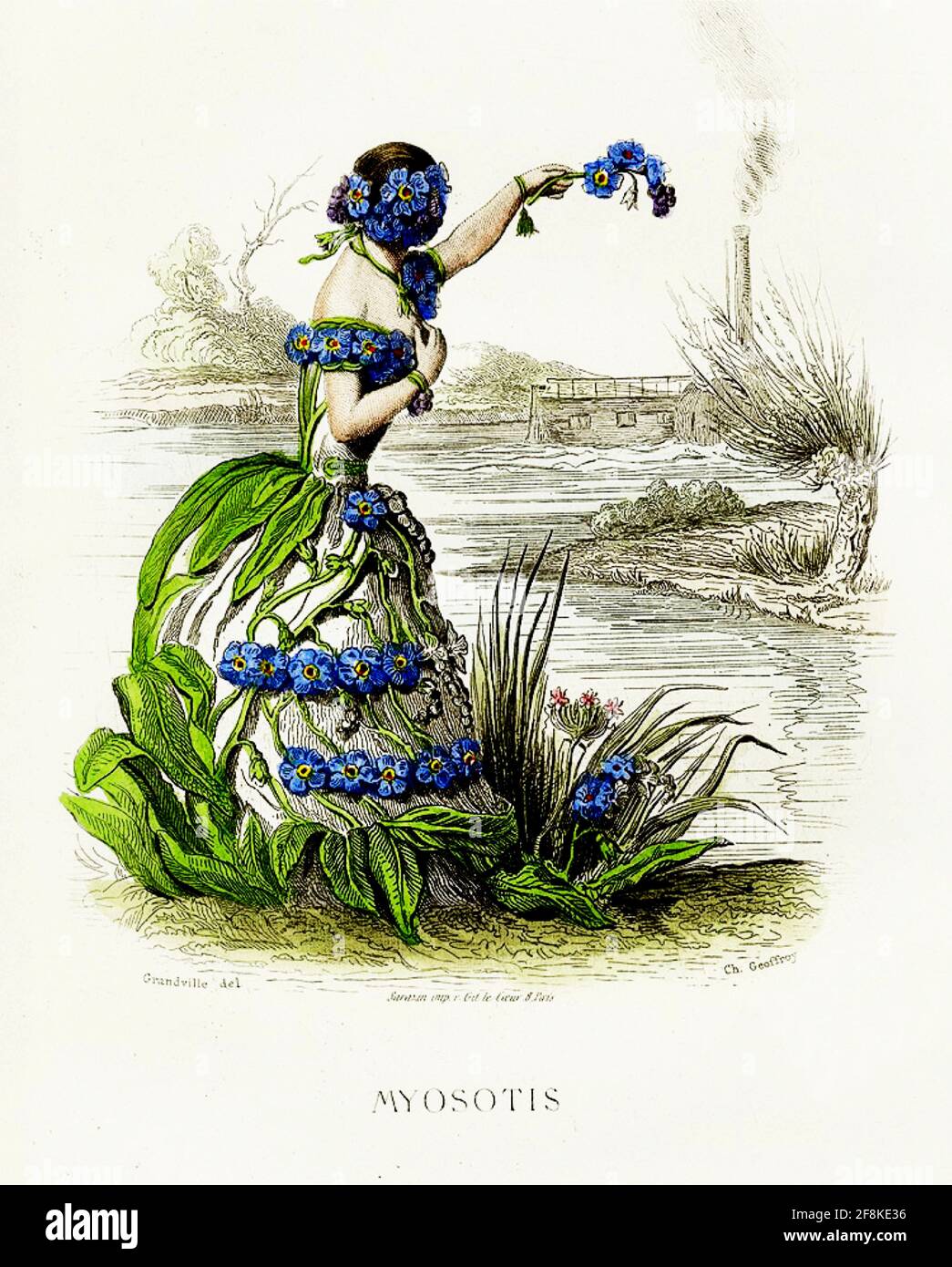 J J Grandville Kunstwerk mit dem Titel Forget Me Not oder Myosotis, Stockfoto