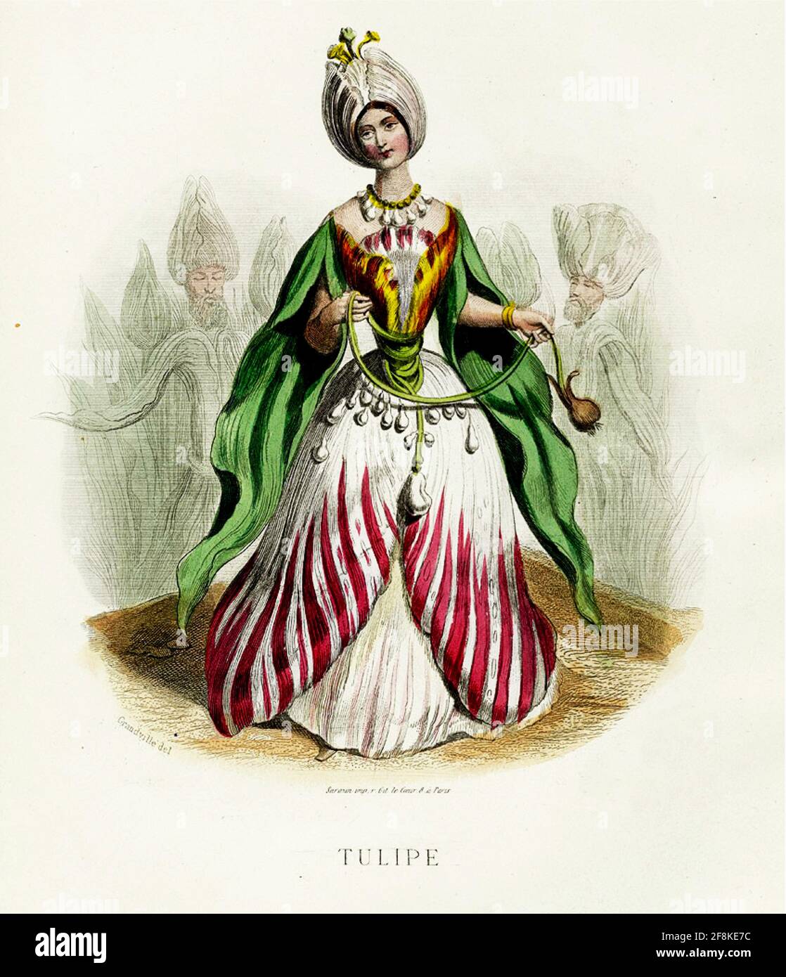 J J Grandville Kunstwerk mit dem Titel Tulipe. Stockfoto