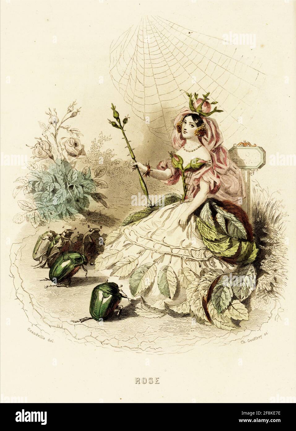 J J Grandville Kunstwerk mit dem Titel reine des fleurs. Die Rosenkönigin sitzt mit Ungeziefer in Anwesenheit. Ein Spinnennetz ragt über dem Kopf. Stockfoto