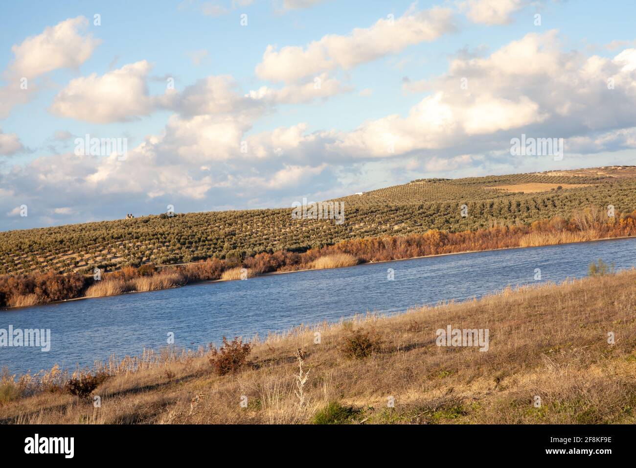 Laguna de Zonar Winterquartiere und Brutplatz für Wasser Vögel in Aguilar de la Coréra Andalusien Stockfoto