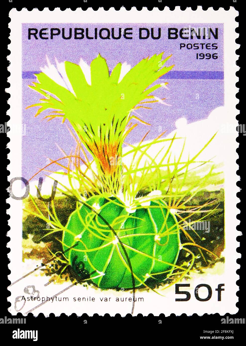 MOSKAU, RUSSLAND - 10. NOVEMBER 2019: Die in Benin gedruckte Briefmarke zeigt Astrophytum senile, Kakteen-Serie, um 1996 Stockfoto