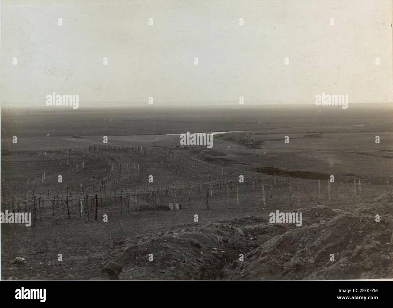 Draht Dornen vor der 3. Kompanie des Infanterie-Regiments 84, hinter den kleinen Schlitzen des K.U.K. Gräben. Stockfoto