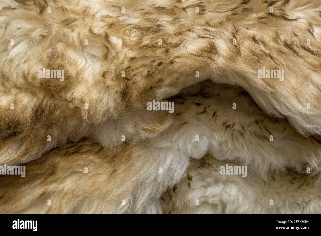Eine Armvoll übereinander gestapelter Teppiche aus künstlicher weißer Wolle mit beigen Spitzen hier und da, die Schaf- oder Ziegenhäute mit welligen Fellen imitieren Stockfoto