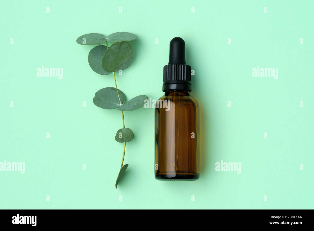 Flasche Eukalyptusöl und Eukalyptuszweig mit Blättern auf grünem Hintergrund. Draufsicht, flach liegend. Stockfoto