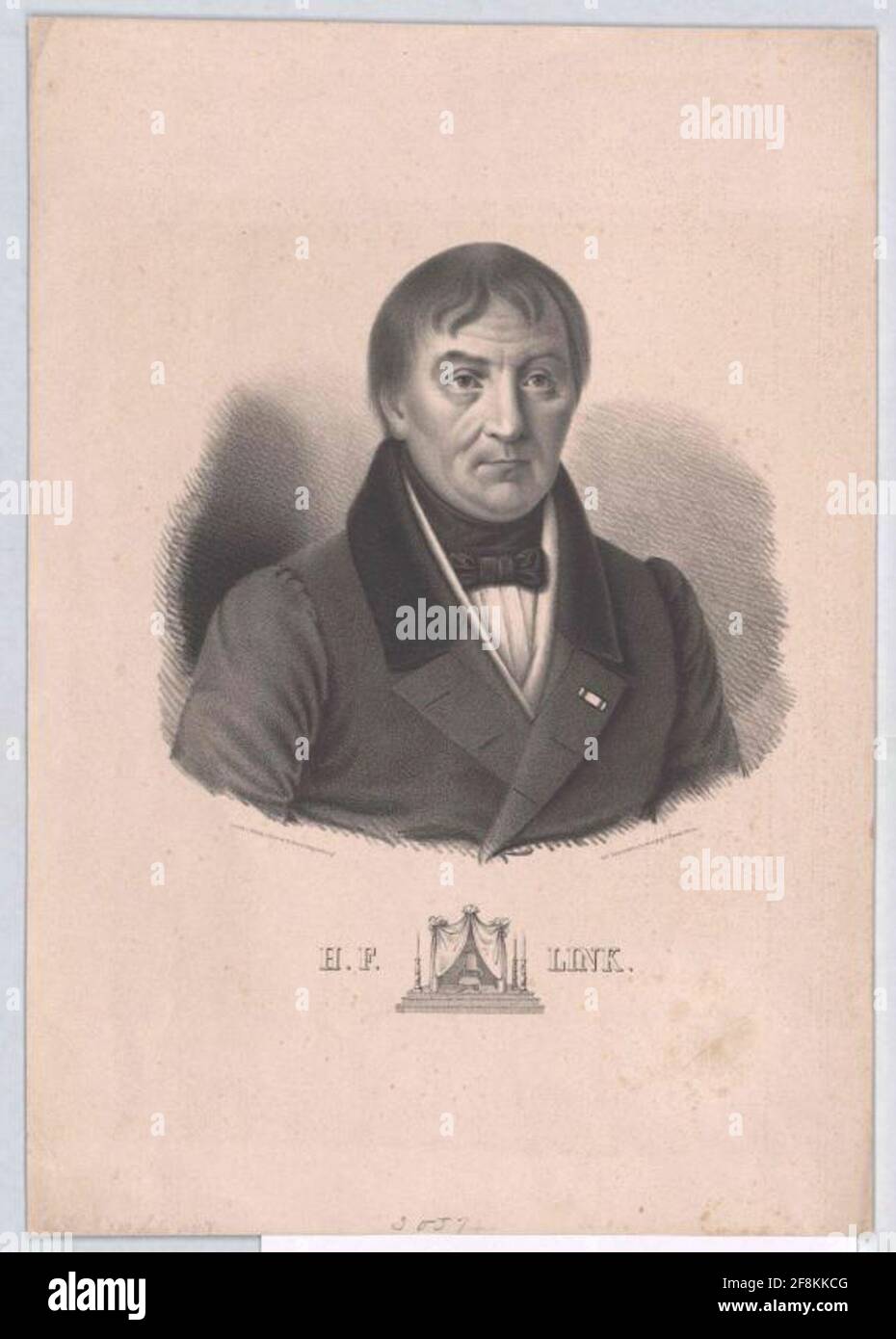 Link, Heinrich Friedrich . Stockfoto