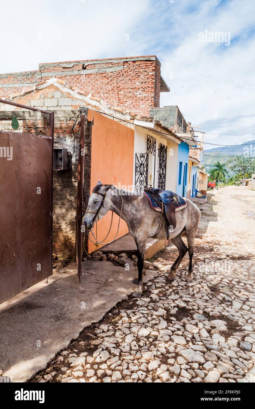 Pferdeübernachtung in einer gepflasterten Straße im Zentrum von Trinidad, Kuba. Stockfoto