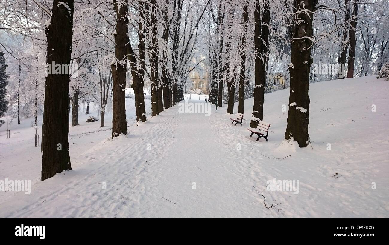 Winterstraße in den Bergen Stockfoto