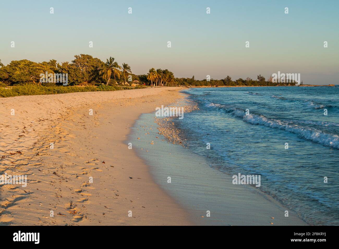 Strand im Dorf Playa Giron, Kuba Stockfoto