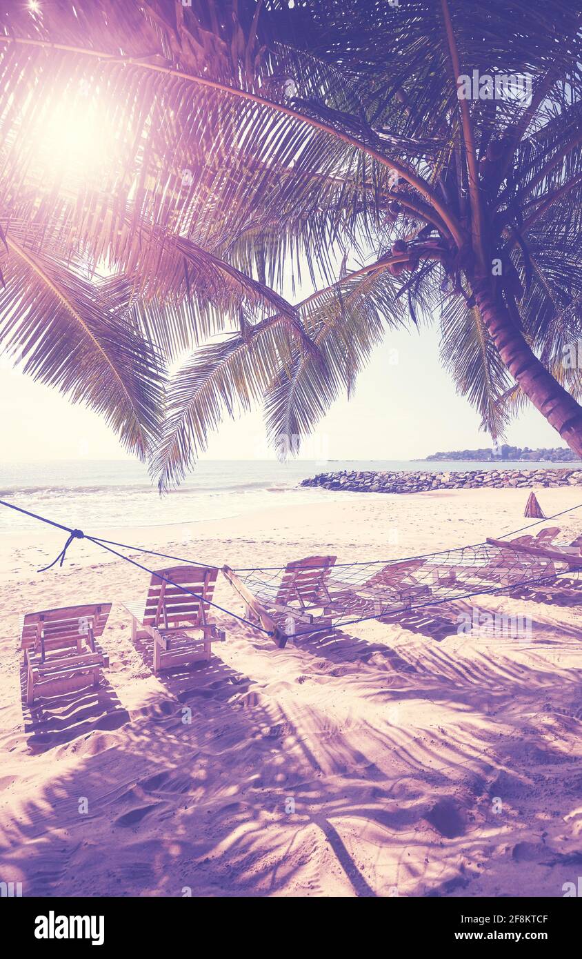 Tropischer Strand mit Sonnenliegen unter Palmen, farblich getöntes Bild. Stockfoto