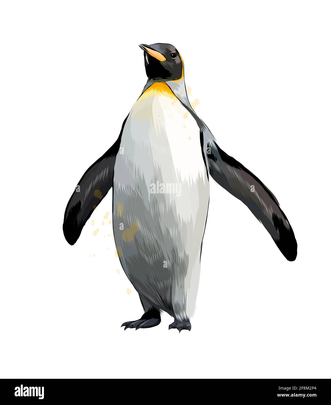 Kaiserpinguin aus einem Spritzer Aquarell, farbige Zeichnung, realistisch. Vektordarstellung von Farben Stock Vektor