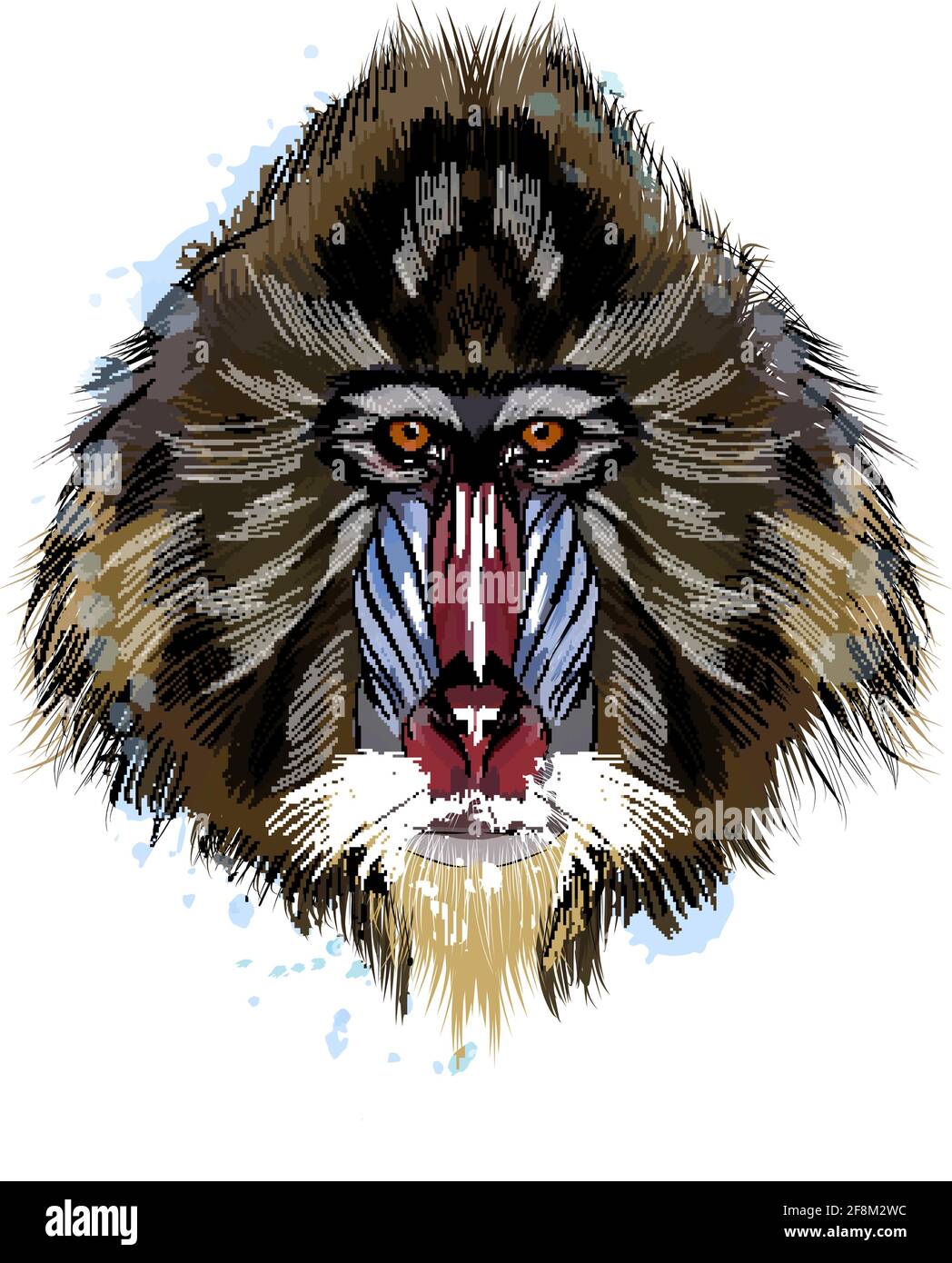 Affenmandrill Kopf Porträt aus einem Spritzer Aquarell, farbige Zeichnung, realistisch. Vektordarstellung von Farben Stock Vektor