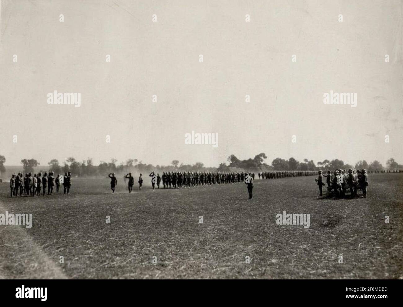 Inspektion der Deutschen Infanteriedivision 223 durch das Hauptquartier Böhm-Ermoli. . Stockfoto