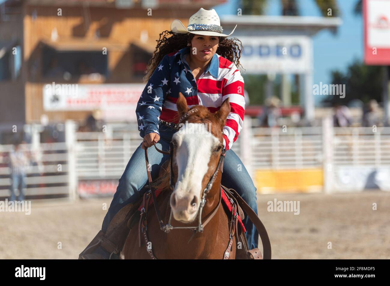 Homestead, Florida/USA - 26. Januar 2020: Jährliches Homestead Championship Rodeo, einzigartiges westliches Sportereignis. Bull Riding Wettbewerb auf Homestead. Stockfoto