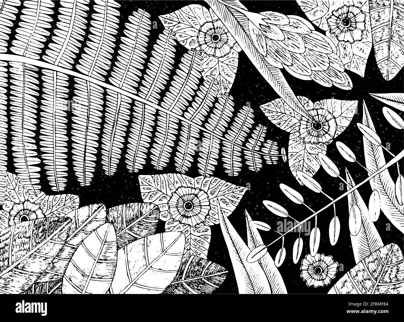 Tropische Pflanzen - florale Skizze Illustration. Regenwald Blumen Hintergrund. Dschungel exotische Blätter und Äste. Schwarz-Weiß-Kunst. Vektorgrafik Stock Vektor